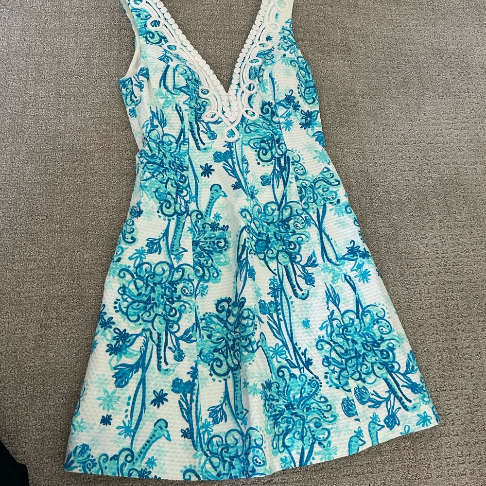 Lilly Pulitzer Blue and White Embroidered Dress